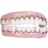 Vampire Character Teeth Accessory