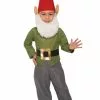 Garden Gnome Toddler Costume