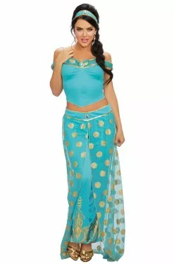 Royal Arabian Princess Adult Costume