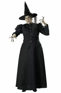 Wretched Witch Plus Size Costume