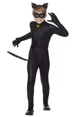 Miraculous Ladybug Cat Noir Child Costume