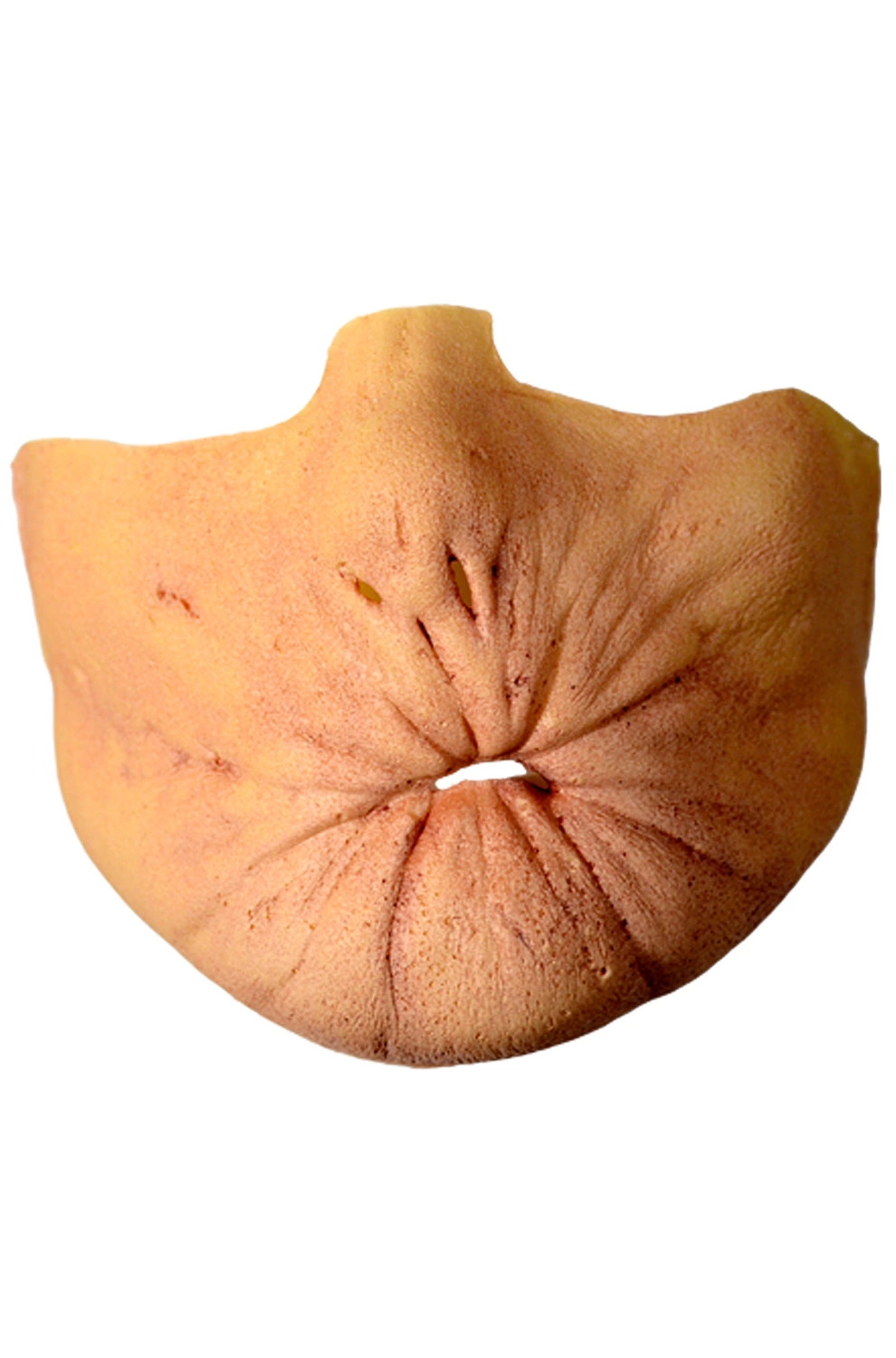 Arseface Appliance Kit